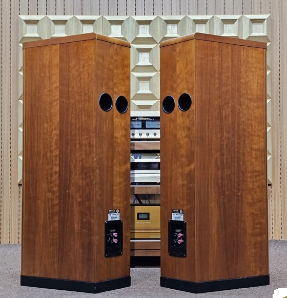 Loa Tannoy D900 Là Gì