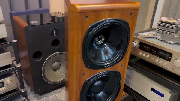 Tannoy D900 Âm Thanh Chuyên Nghiệp