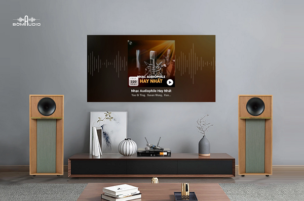 Vang Số Boston Acoustics - 769 AUDIO DIGITAL