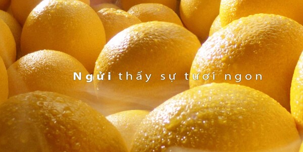 bảo quản lâu hơn