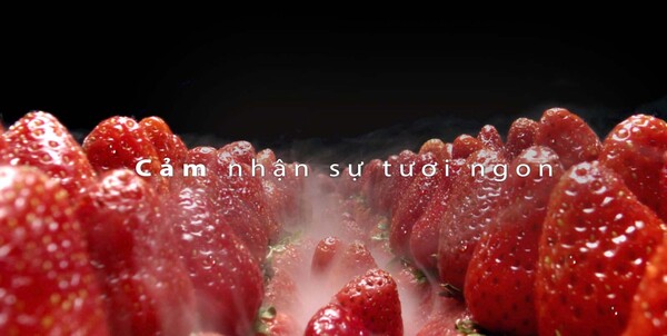 Cảm nhận sự tươi ngon mỗi ngày