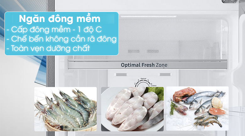 Tủ lạnh Samsung RT22M4040DX/SV ngăn đông mềm - 1 độ