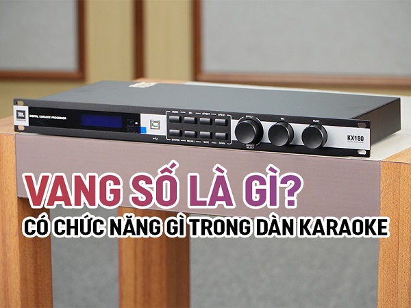 Vang Số Karaoke Là Gì