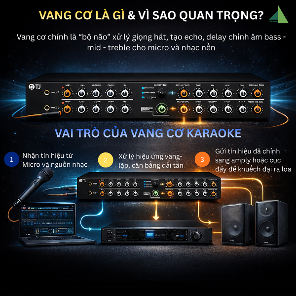 Vang Cơ Là Gì Và Vì Sao Nó Quan Trọng