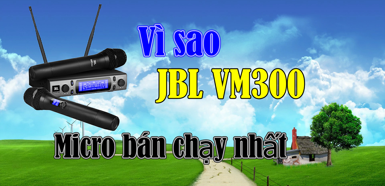 Micro JBL VM300